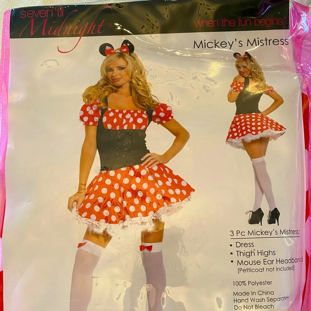 Mickey’s Mistress Costume
